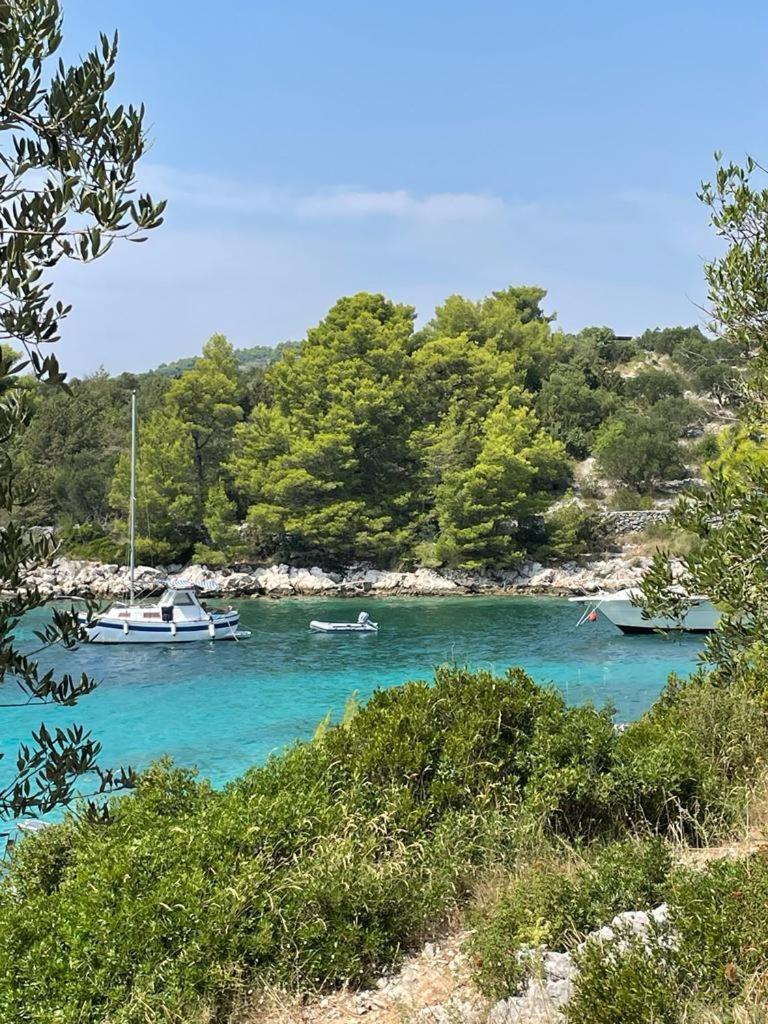 Smokva Apartmán Trogir